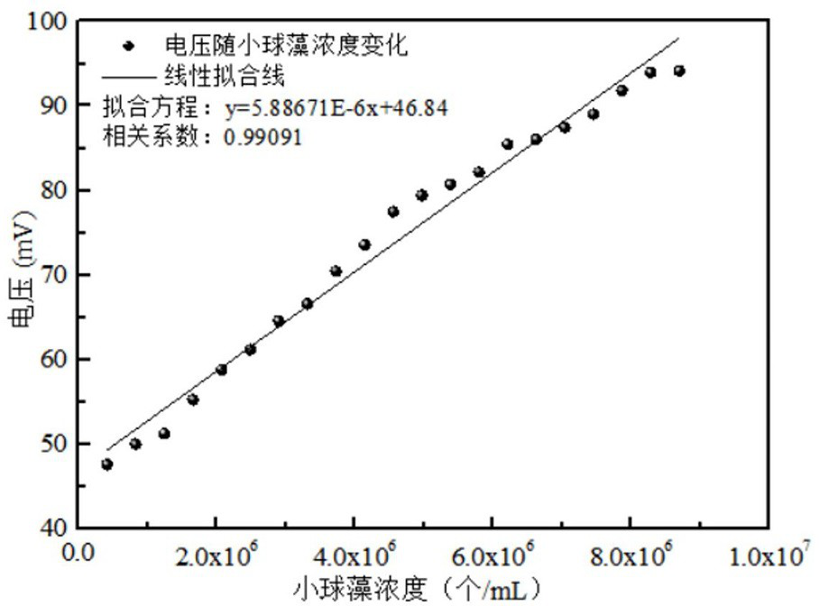 Device and method for detecting concentration of algae in water body through chlorophyll fluorescence induced by near ultraviolet laser