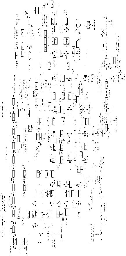 Enzyme from Cordyceps sinensis Hirsutella sinensis for participating in anabolism to obtain xanthylic acid and application of enzyme