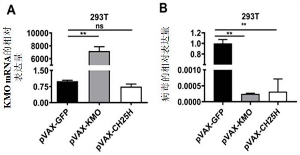 Anti-herpes simplex virus type I drug and preparation method and application thereof