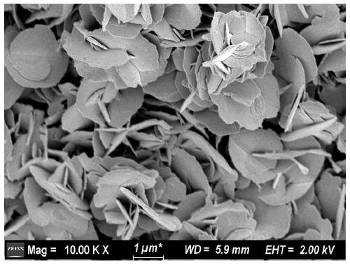 Method for one-step in-situ electro-deposition of layered double hydroxide coating on magnesium alloy surface