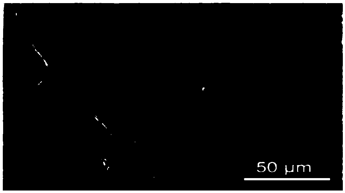 Composite metal lithium cathode with lithium-carbon composite interface layer and preparation method thereof