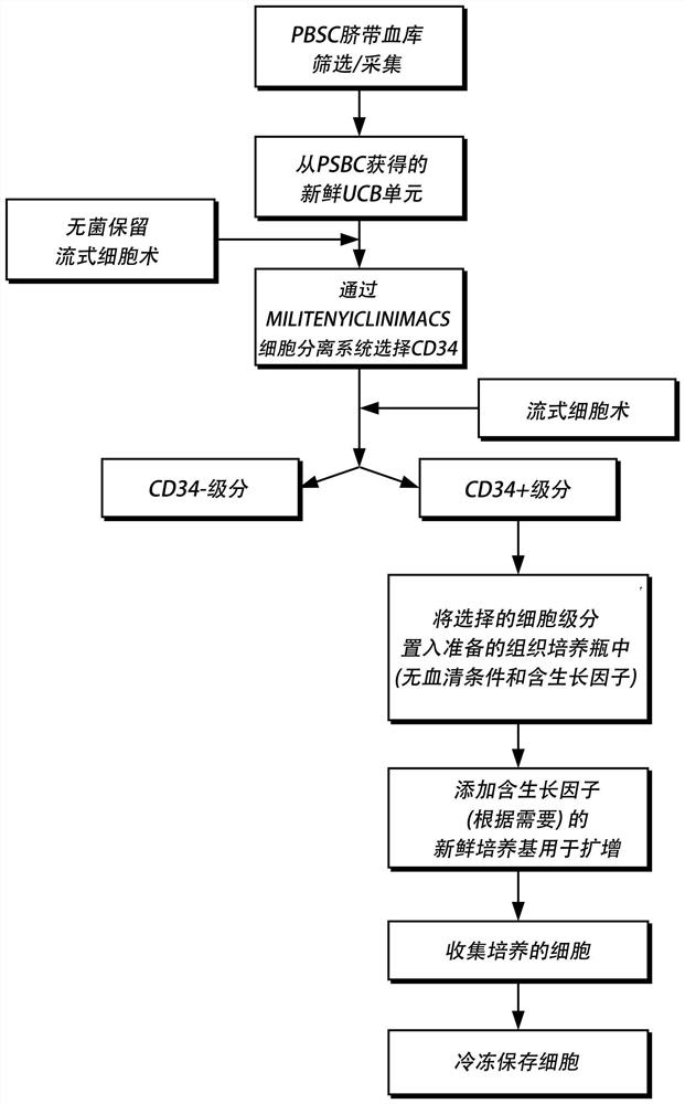 Compositions and methods for improving outcome of treatment in patients with hematological malignancies using expanded stem cell products