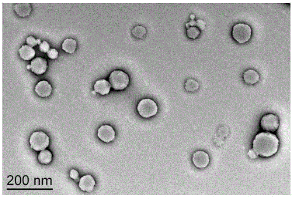 Canine interferon alpha particle compound as well as preparation method and application thereof