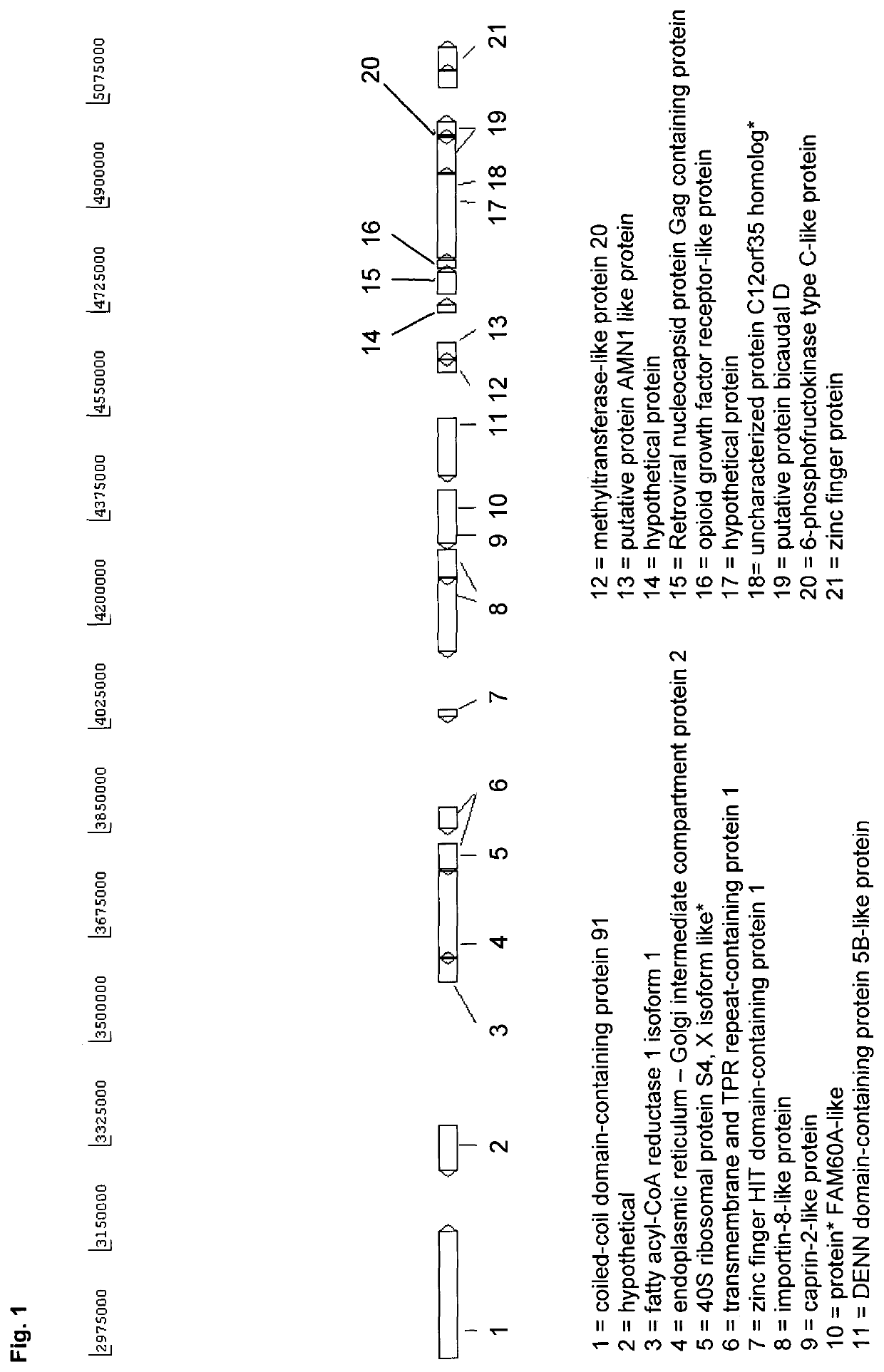 Eukaryotic cells and methods for recombinantly expressing a product of interest