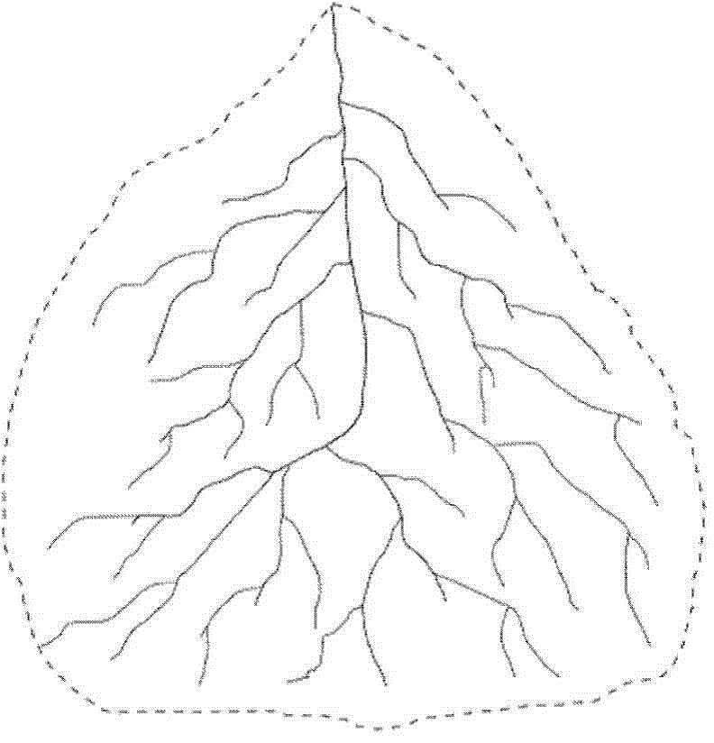 Online detection method for time and space abnormal events by river network