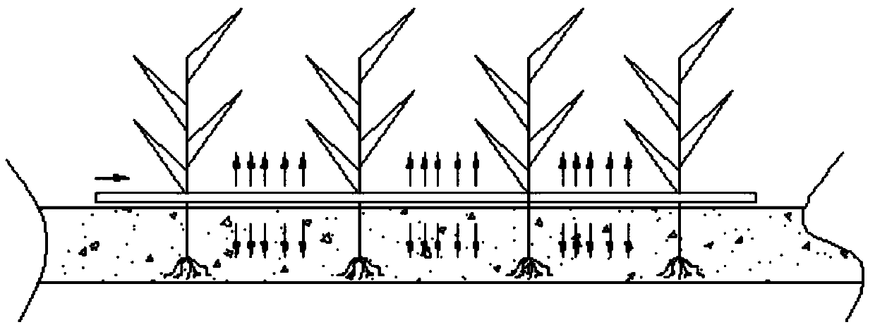 Local constant temperature system for air energy agricultural greenhouse