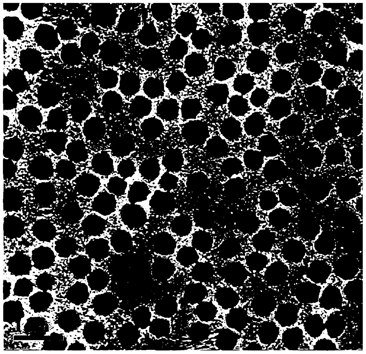 Preparation method of a microhydrogel capable of simultaneous loading and sustained release of hydrophilic and hydrophobic drugs