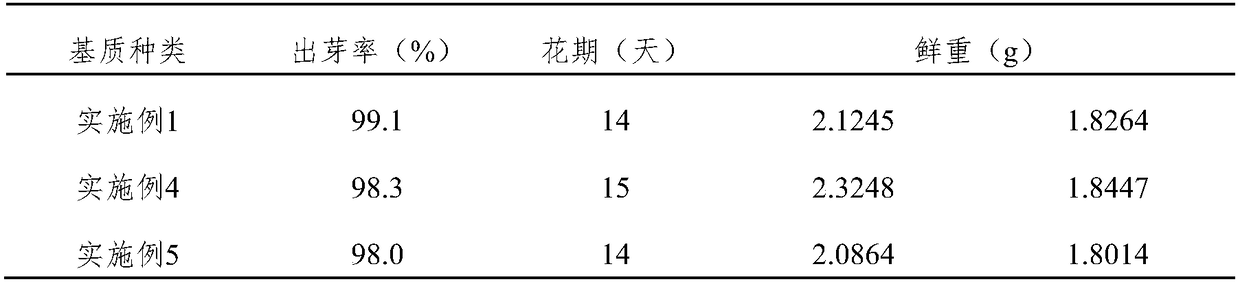 Lily cultivation medium and lily cultivation method