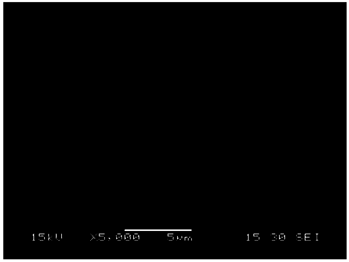 Mullite fiber surface modification method