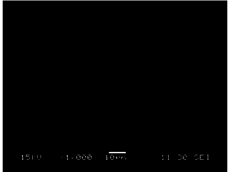 Mullite fiber surface modification method