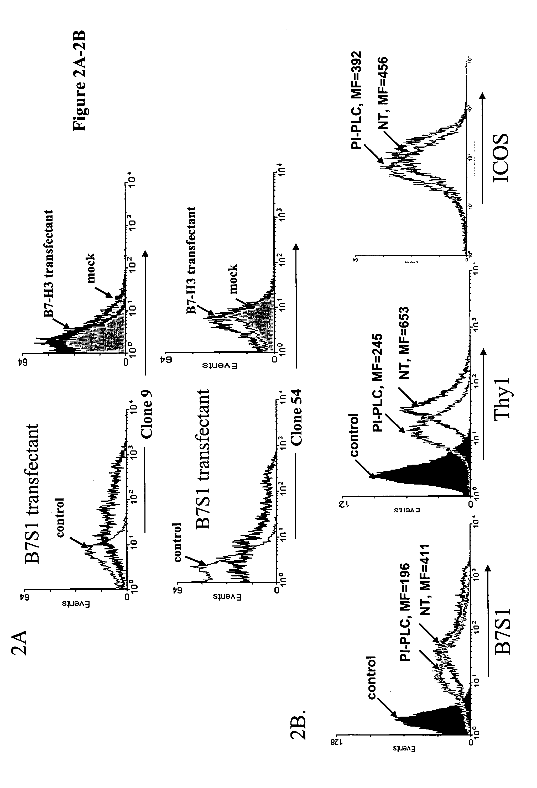 B7S1: an immune modulator