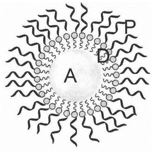 Gold nanoparticle-anthracene ring pharmaceutical composition and preparation method thereof