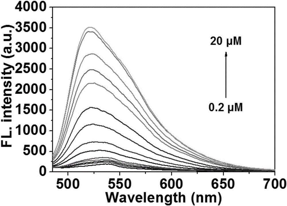 Fluorescent probe for accurately detecting copper ions in mitochondria by light control as well as preparation method and application of fluorescent probe