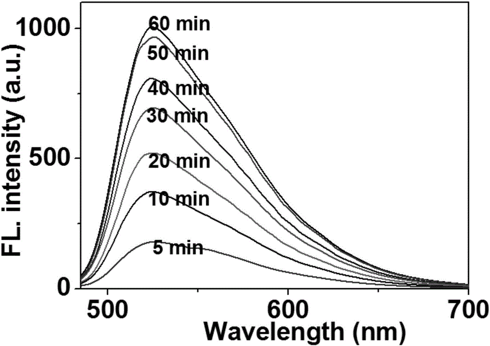 Fluorescent probe for accurately detecting copper ions in mitochondria by light control as well as preparation method and application of fluorescent probe