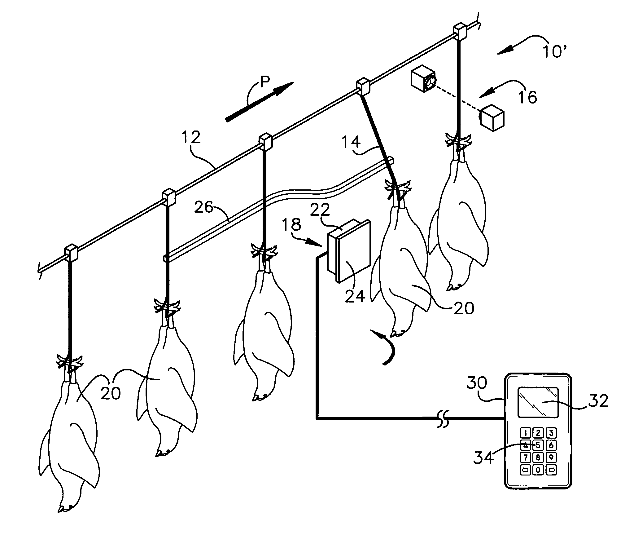 Overhead poultry conveying and counting system