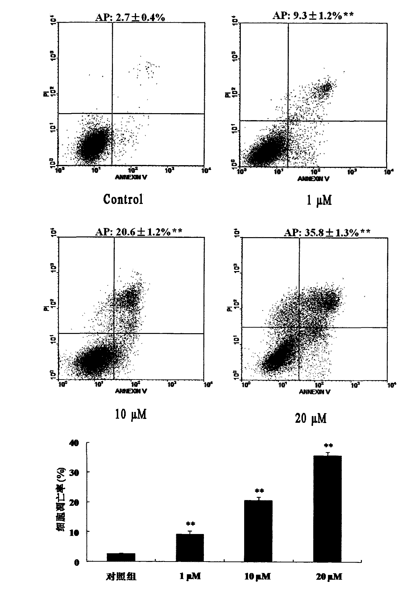 Application of Hyperforin derivant in preparing drugs