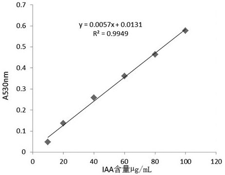 A siderophore-producing hydrogen-oxidizing bacterium and its isolation method and application