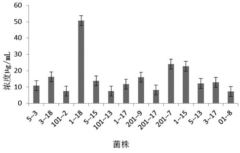 A siderophore-producing hydrogen-oxidizing bacterium and its isolation method and application