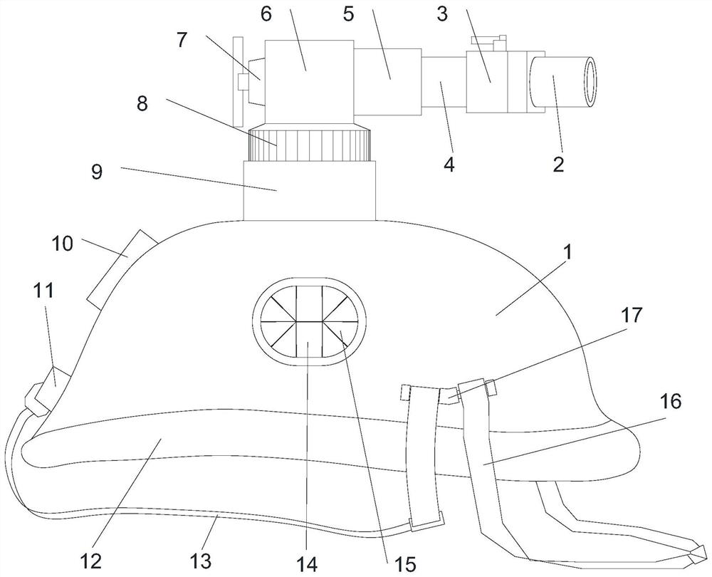 Gas anaesthetic mask