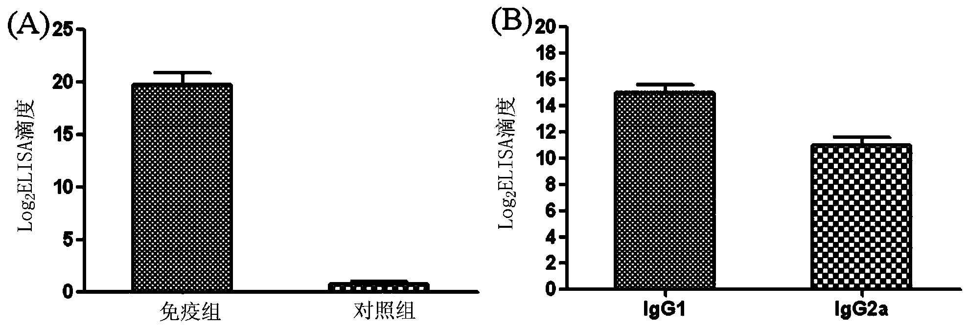 Streptococcus protective antigen C5a and preparation method thereof