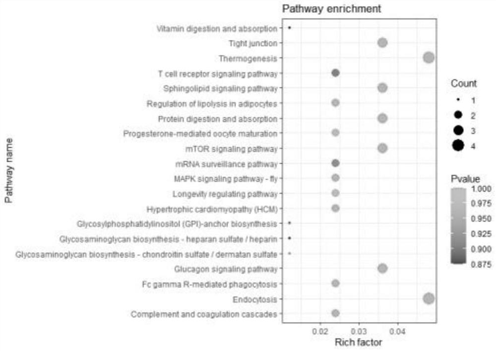 A kind of circRNA, product and application thereof