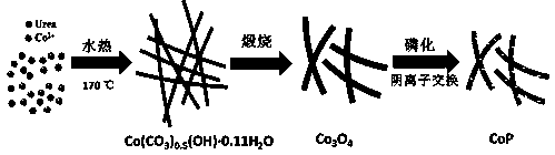 A kind of preparation method of porous cobalt phosphide nanowire catalyst