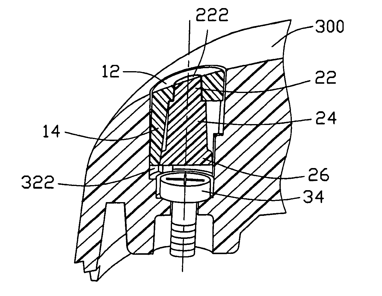 Expandable screw cover