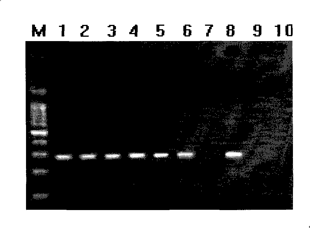 Method for quick volume-production of PCR mould plate