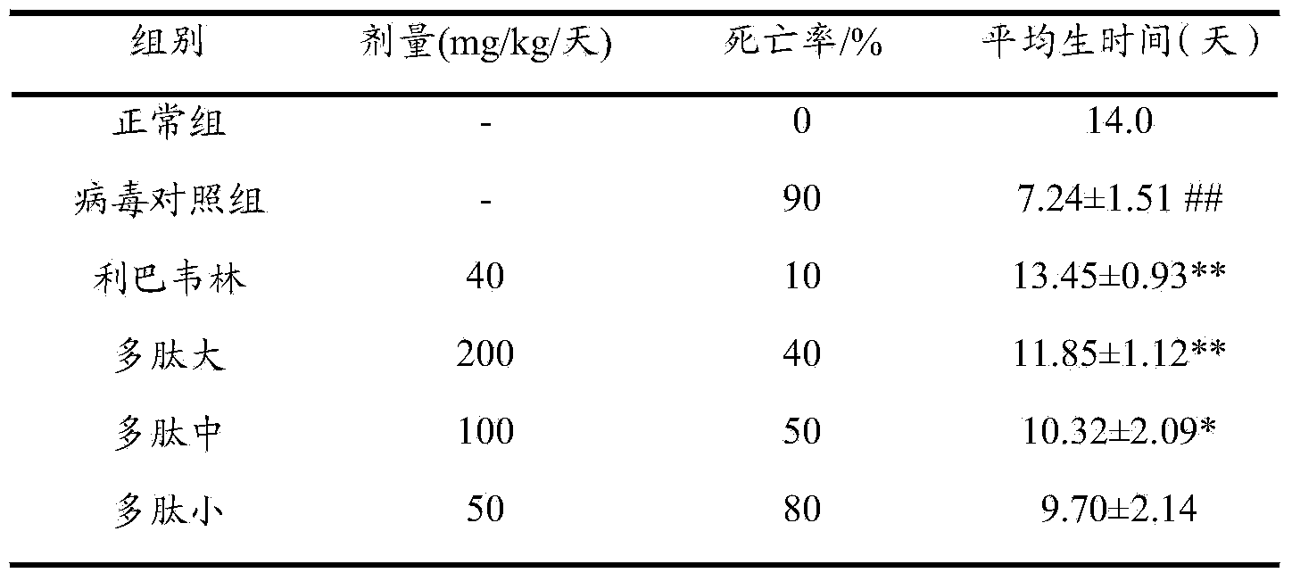 Isatis root vegetable proteins or polypeptides, extraction method thereof, and application thereof in antiviral drug