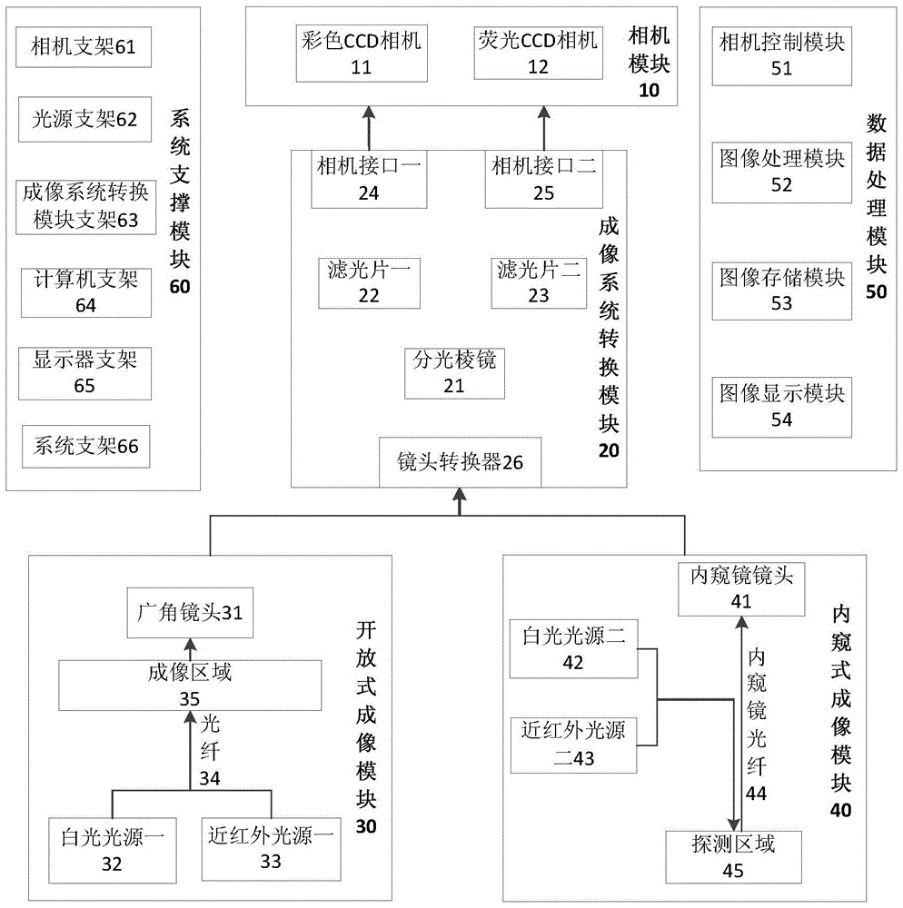 Dual-optical path molecular image navigation system and imaging method with switchable field of view