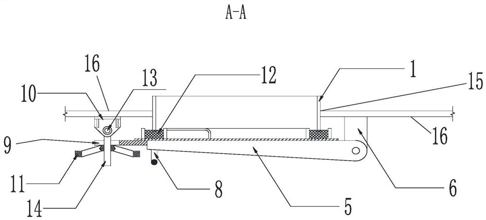 Watertight access door structure of steel box arch bridge