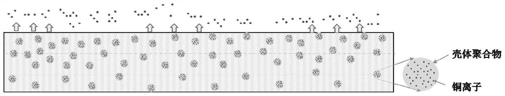 Orthopedic implant device with copper-containing coating and method of making the same