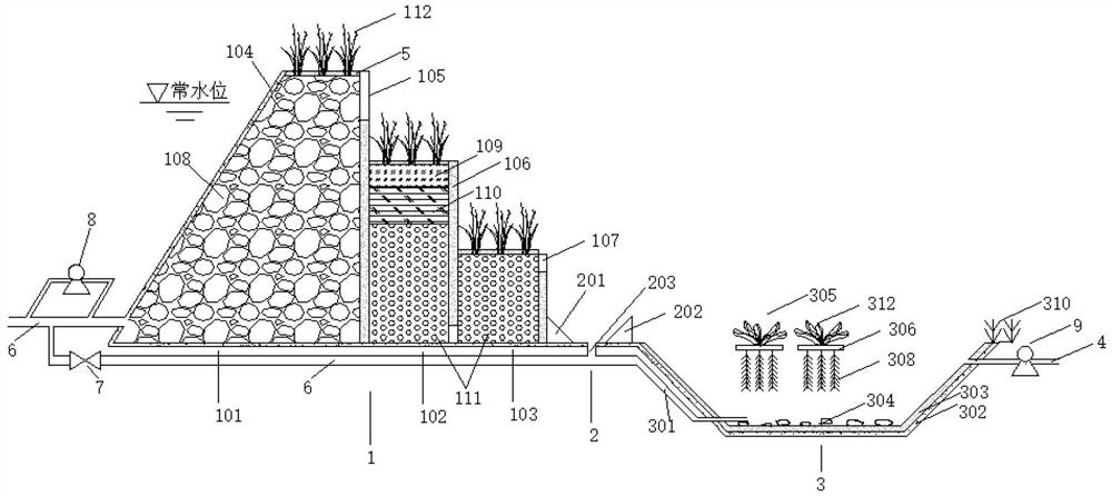 Green low-carbon ecological water purification system for river embankment