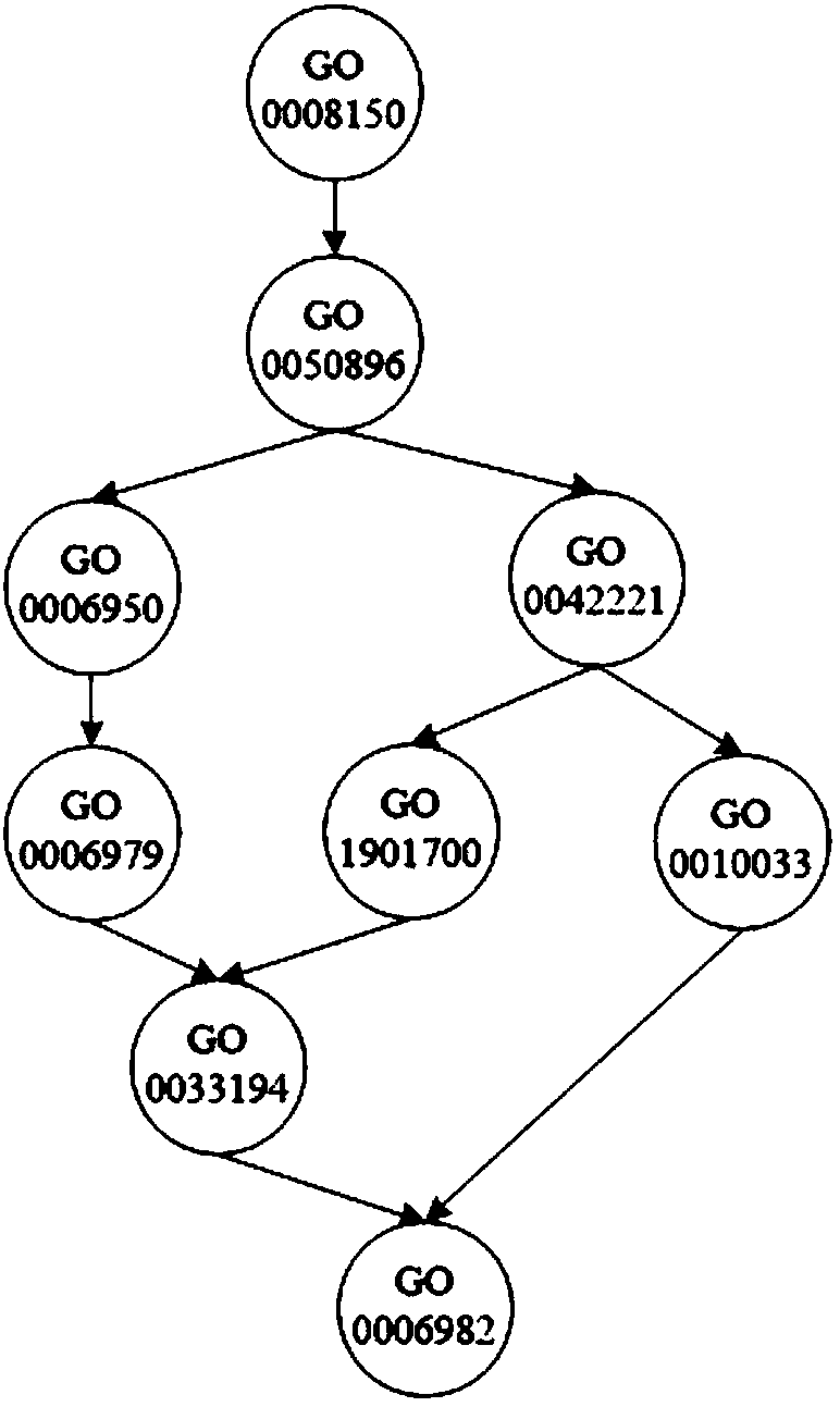 Gene function prediction method based on r-svm and tpr rules