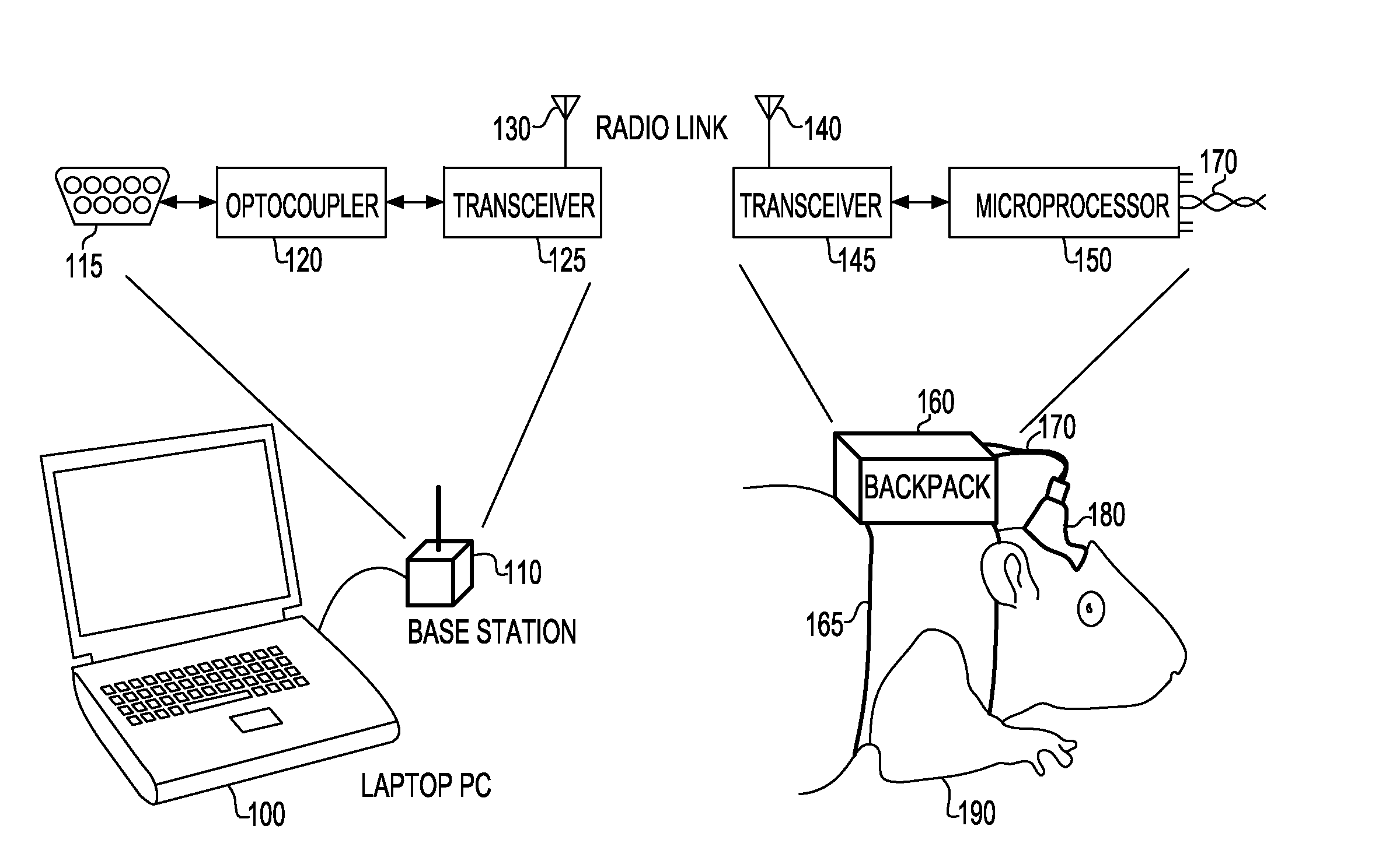 Method and apparatus for teleoperation, guidance and odor detection training of a freely roaming animal through brain stimulation