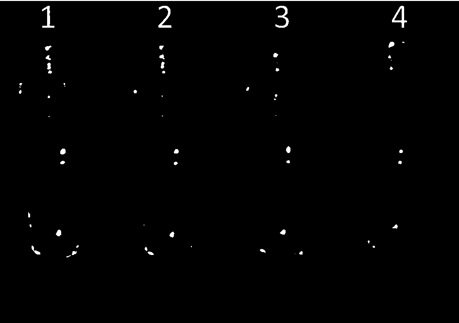 LAMP detecting primer group, kit and detecting method for cry3A gene in transgenic plant