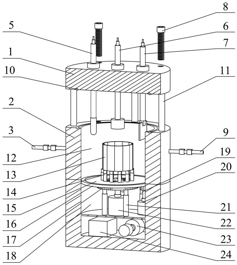 Electrochemical testing device for metal passivation film growth and decline dynamic process