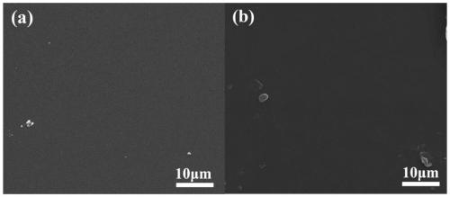 A long-term anti-corrosion and weather-resistant functional coating and its preparation method