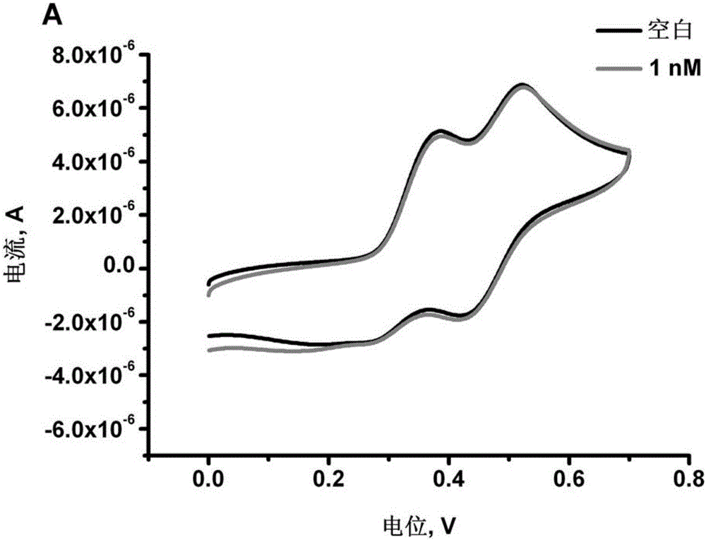 Multi-adenine based DNA capture probe, biosensor and detection method thereof