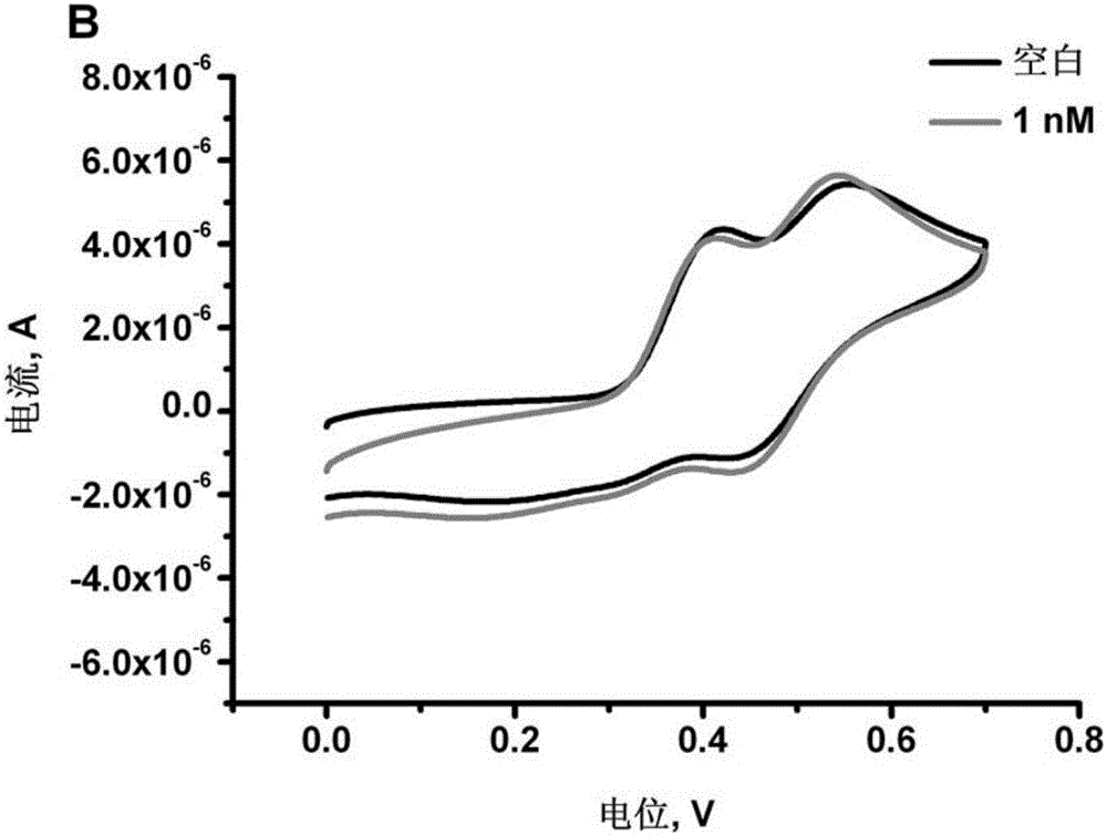 Multi-adenine based DNA capture probe, biosensor and detection method thereof