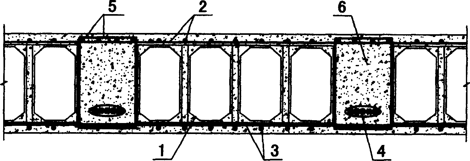 Lightweight material combination unit filled prestressed concrete cast-in-situ hollow slab