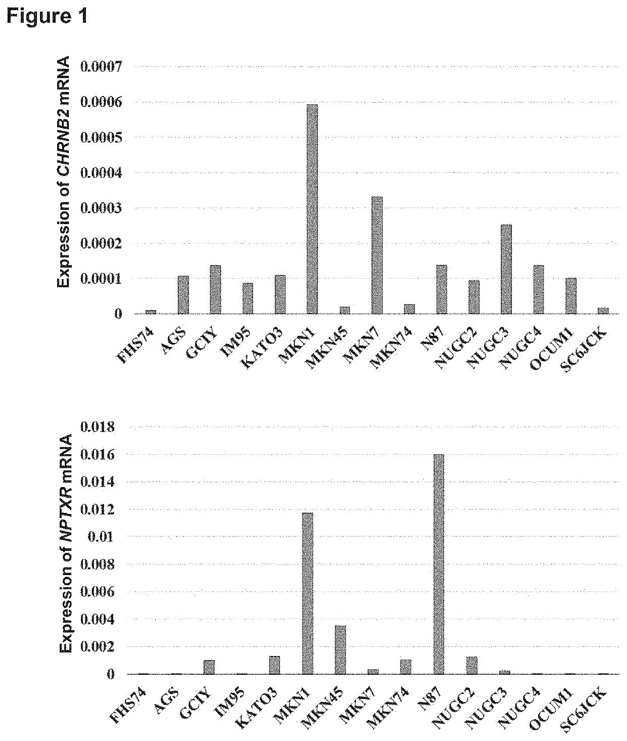 Therapeutic agent targeted to receptor protein, test agent, antibody that binds to receptor protein, and screening method for molecularly targeted drugs