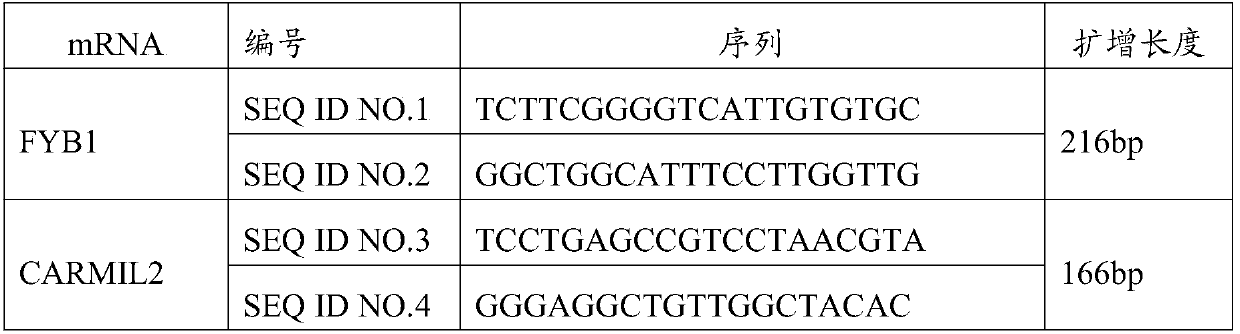 Molecular markers for early detection of thyroid cancer and application of molecular markers