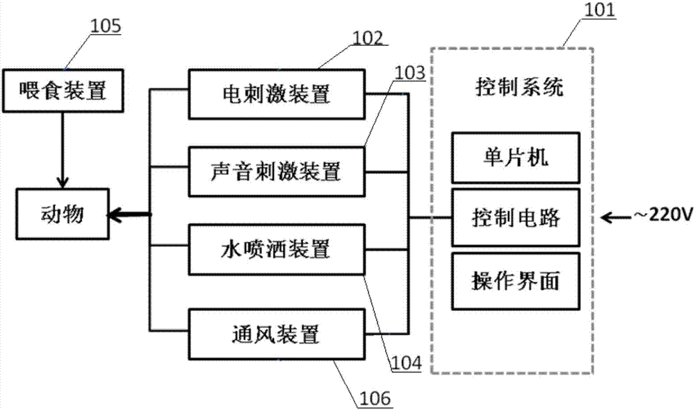 Experimental device for establishing anxious animal model