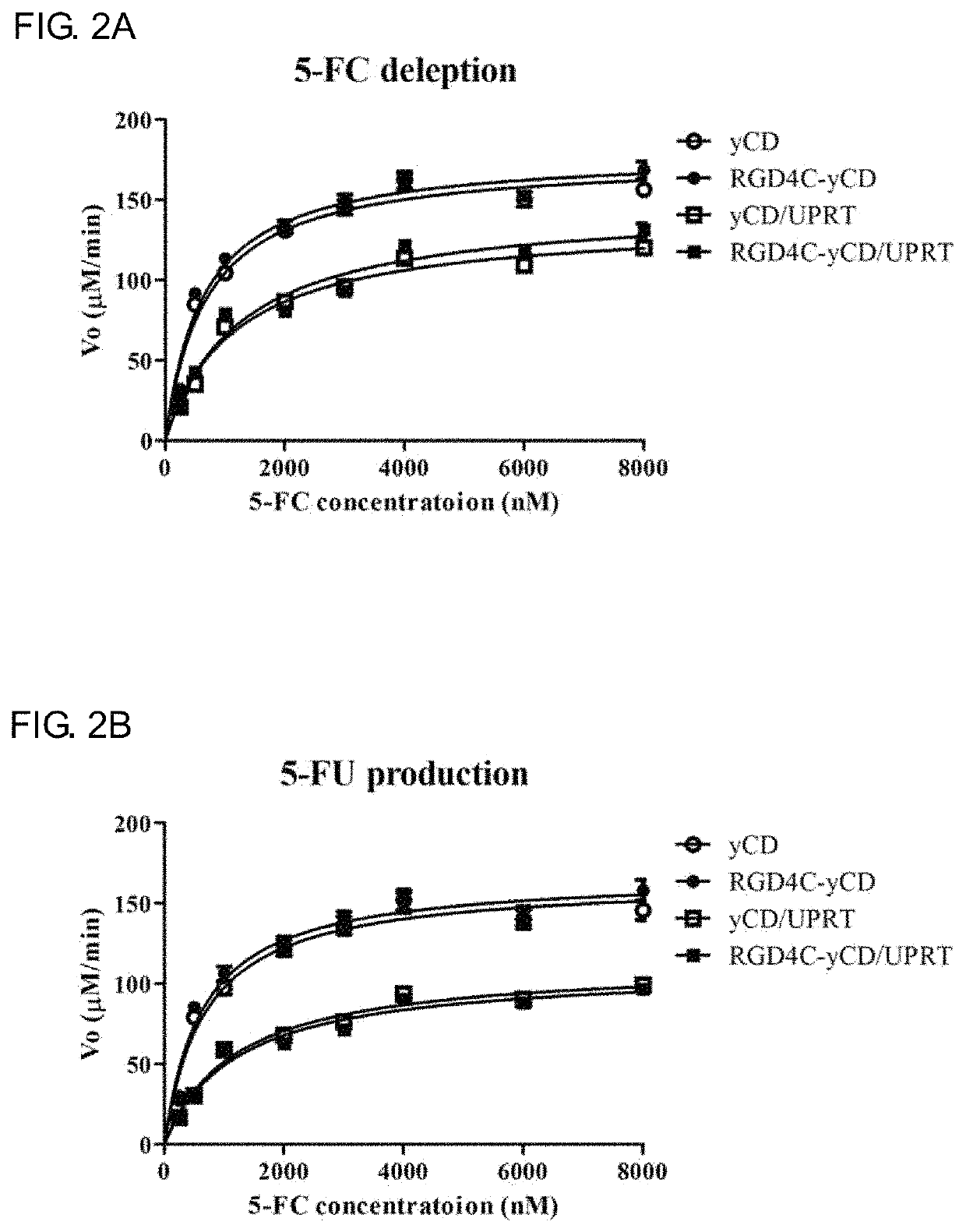 Targeted prodrug cytosine deaminase fusion carrier and application thereof