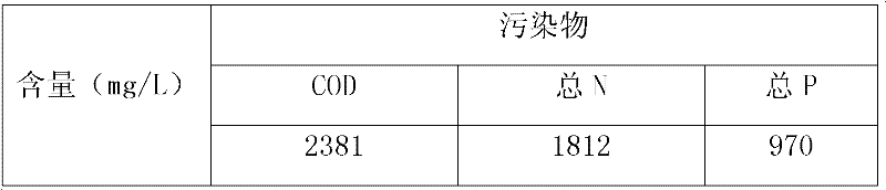 Treatment method of biogas slurry polluted by livestock and poultry breeding