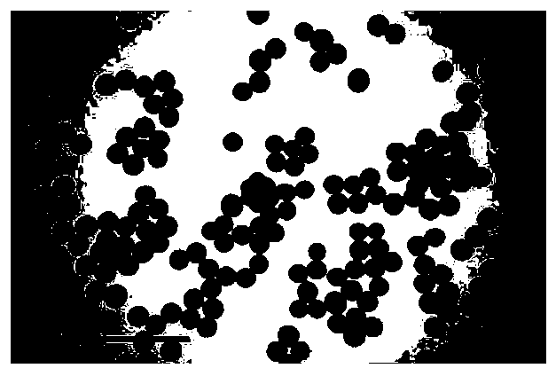 A kind of preparation method and application of halichondrin molecularly imprinted-quantum dot polymer