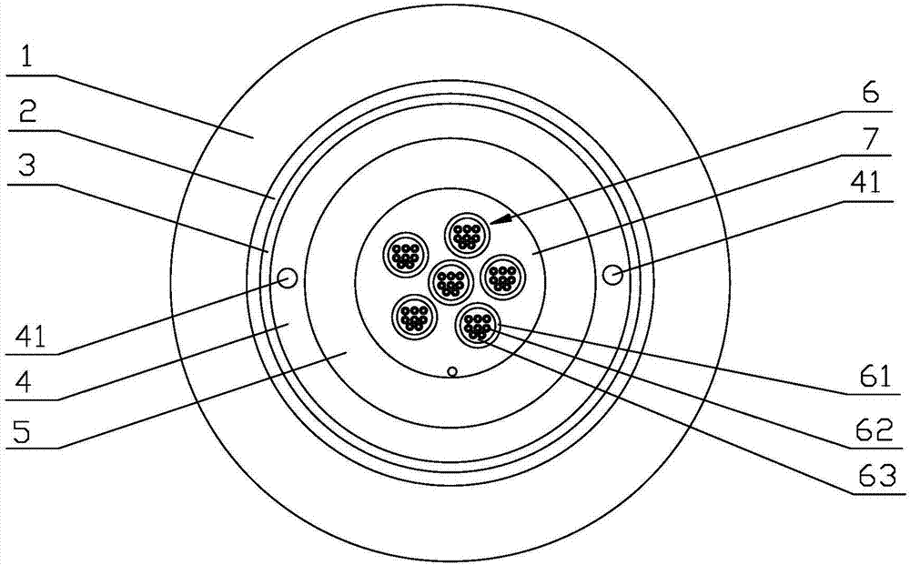 Access network and indoor wiring optical cable