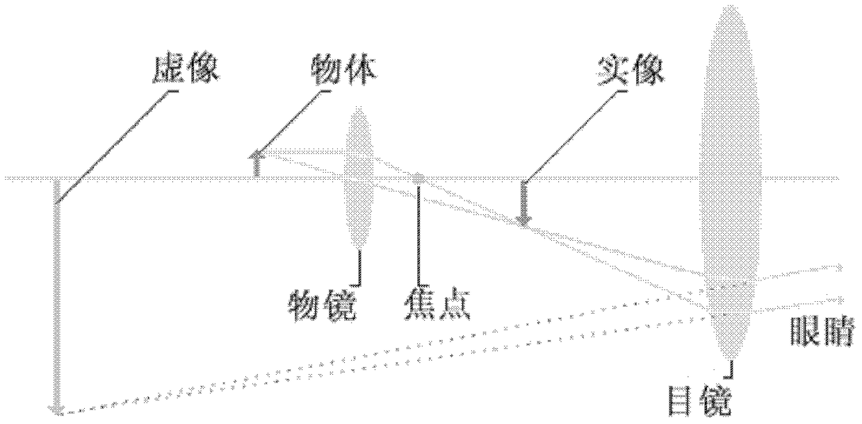 An automatic focusing device and system