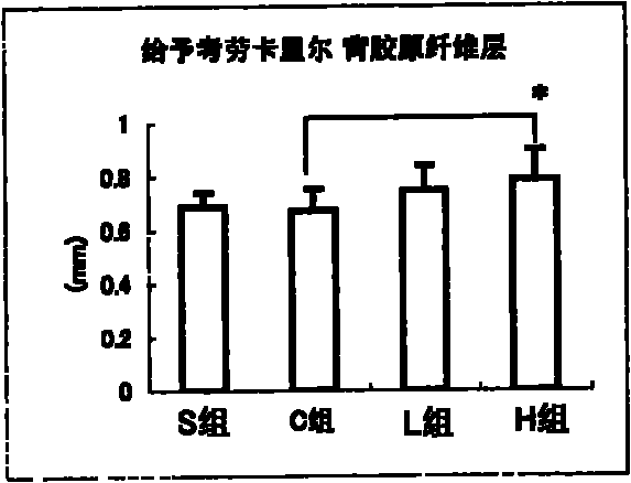 Bone intensity improvement agent, skin collagen quantity improvement agent and oral composition and medicine part outer article containing at least one of the improvement agents